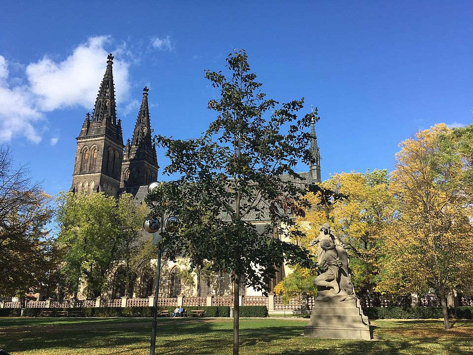 Prag4
